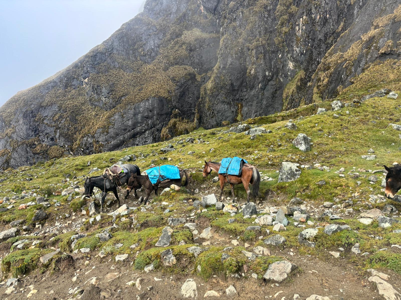 Salkantay Trek 1